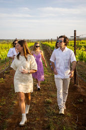 Friends strolling between grapevine rows in a sunlit vineyard at golden hour, sipping wine and wearing summer dresses, a white shirt and sunglasses in a relaxed countryside setting.