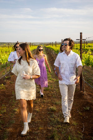 Friends strolling between grapevine rows in a sunlit vineyard at golden hour, sipping wine and wearing summer dresses, a white shirt and sunglasses in a relaxed countryside setting.
