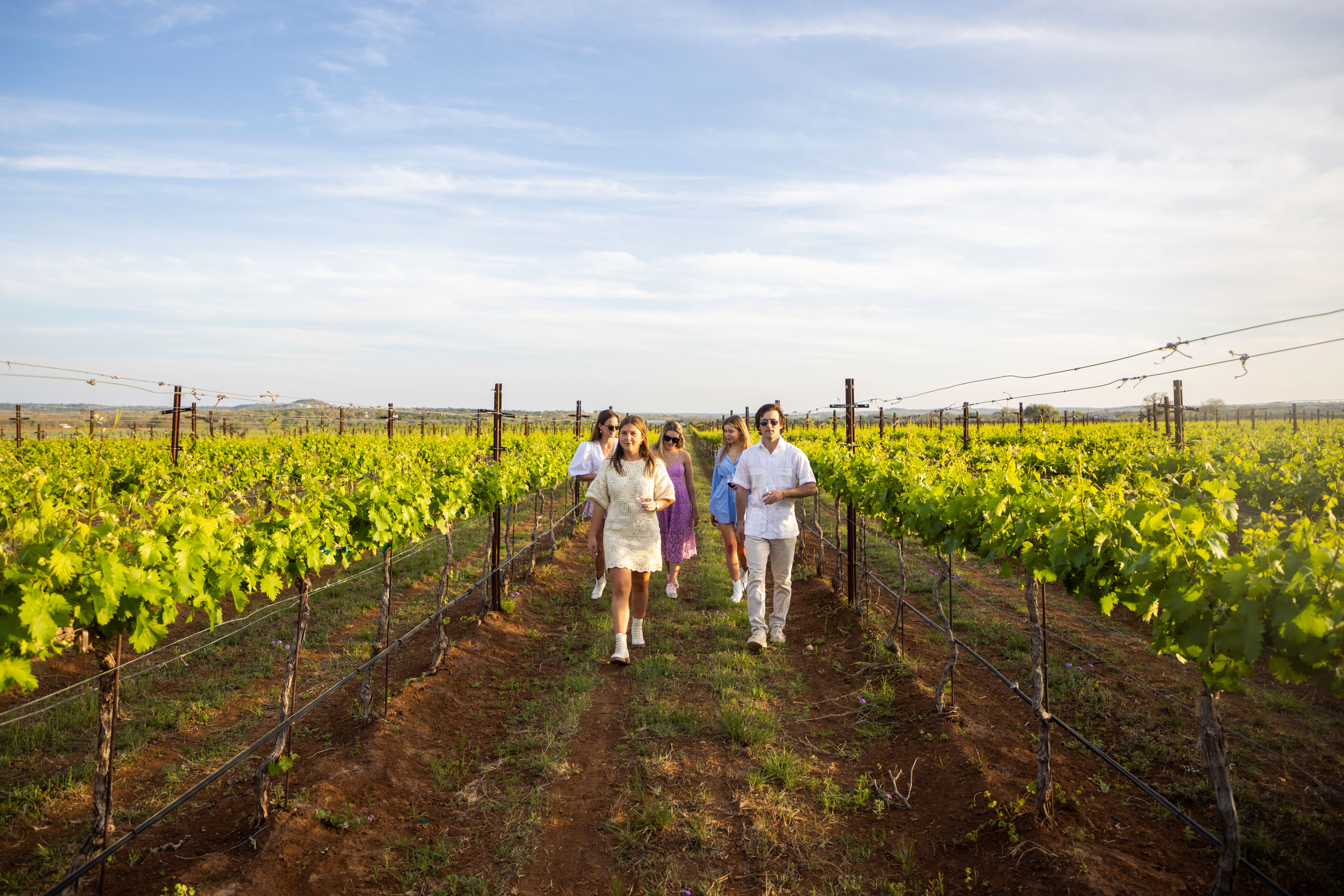 Friends strolling down sunlit vineyard rows in the countryside, holding wine glasses and enjoying a casual wine-tasting walk among green grapevines.