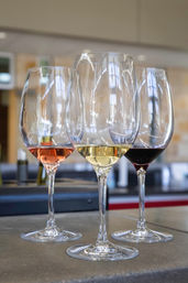 Three wine glasses on a bar counter with rosé, white, and red wine—sparkling glassware and reflections set up for a wine tasting in a modern tasting room.