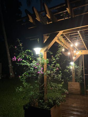 Nighttime backyard wooden pergola and deck lit by glowing string lights and a lamp, pink bougainvillea vines climbing planters for a cozy tropical garden scene.