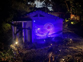 Tropical backyard shed at night bathed in purple-blue light, featuring a sun-orb and wave mural, lantern detail, stone garden path and low landscape lights with a blurred dog running in the foreground.