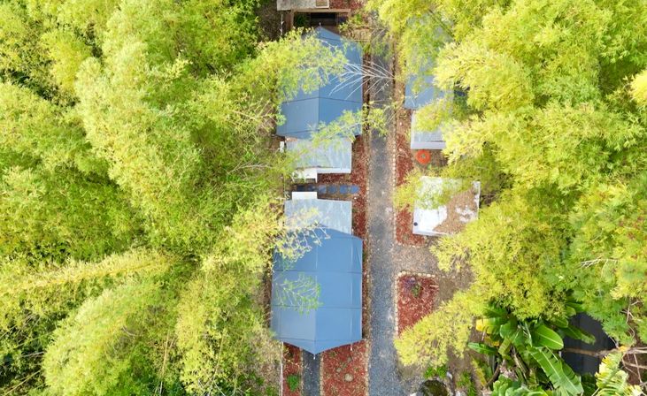 Aerial top-down view of cozy blue-roofed cabins tucked into a lush bamboo canopy, connected by a gravel path and small landscaped garden beds.
