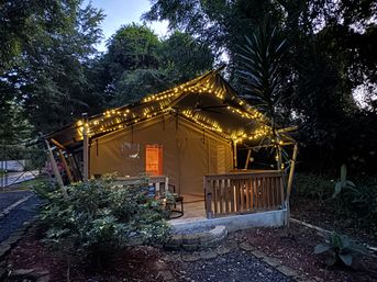 Cozy canvas glamping tent with wooden porch and warm string lights at dusk in a lush tropical forest retreat.