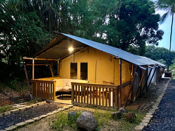 Cozy safari-style glamping tent with wooden porch and warm lit lounge at dusk, nestled in tropical bamboo and palm trees