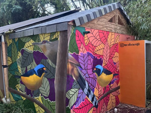 Vibrant garden-shed mural of three birds: two small blue-and-yellow songbirds and a larger brown bird perched on branches amid bold, stylized multicolored leaves, with a bright orange side panel and shingled roof.