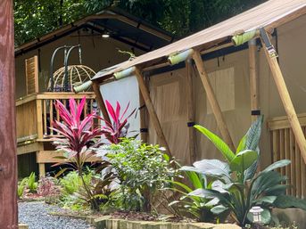 Tropical glamping canvas tent with wooden deck and hanging rattan egg chair, framed by vibrant red ti plants, broad-leaf greenery and a gravel garden path.