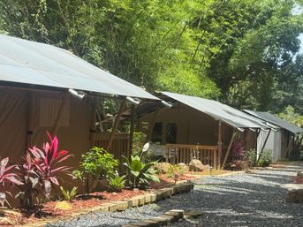 Row of canvas glamping tents with covered porches along a gravel path, surrounded by tropical plants, bamboo and lush forest greenery