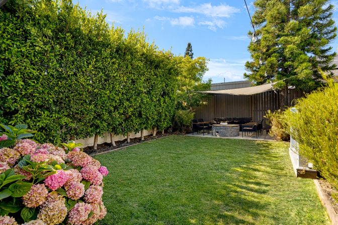 Sunny suburban backyard lawn with pink hydrangeas in foreground, tall privacy hedge, shaded patio featuring a round stone fire pit, black outdoor seating and string lights.