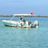 Shell Island Tours