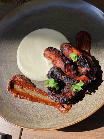 Grilled charred octopus tentacles on a rustic brown plate with a smooth white purée, smoky red sauce smear and fresh cilantro garnish — gourmet seafood dish