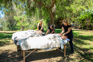 Three massage therapists giving outdoor massages on portable tables beneath a large shady tree in a sunny park-like garden, clients draped with light blankets for a wellness session.