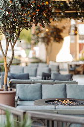 Cozy outdoor patio lounge with blue-gray cushioned sofas arranged around a round gas fire pit, a potted citrus tree overhead and warm string lights.