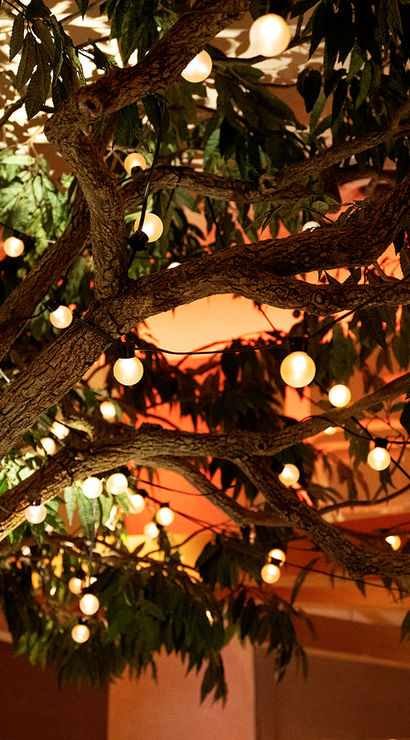 Indoor tree with textured bark and leafy branches draped in warm globe string lights, creating a cozy orange ambient glow.