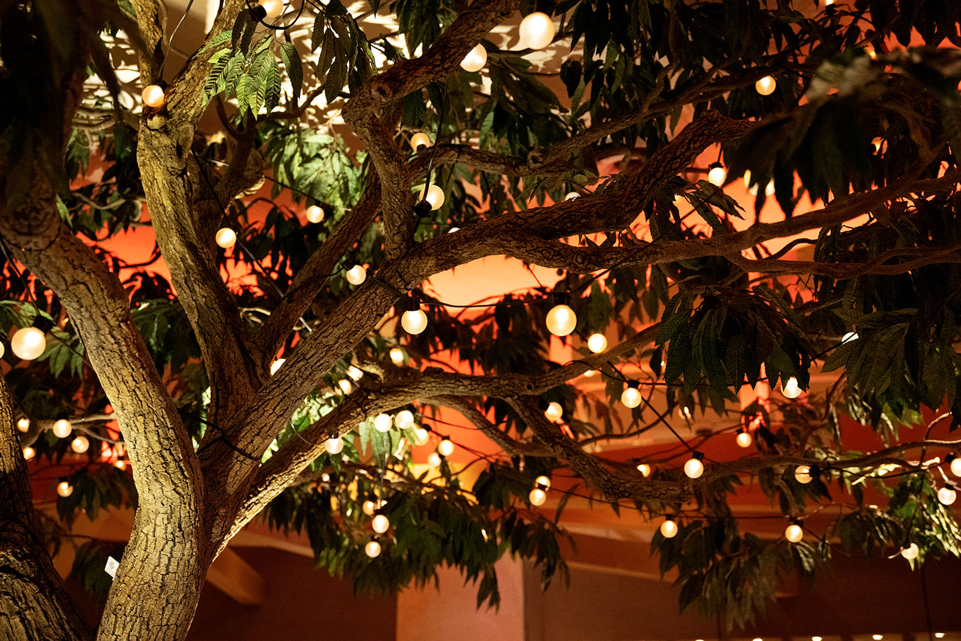 Indoor tree with textured bark and leafy branches draped in warm globe string lights, creating a cozy orange ambient glow.