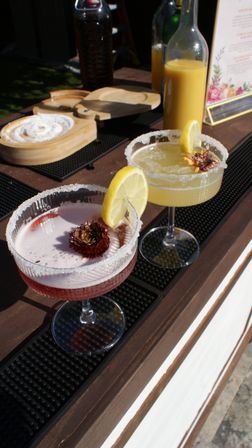 Sunlit outdoor bar counter with two cocktails — a pink floral-garnished drink and a lemon margarita with salted rims and lemon slices, juice bottles in the background for a summer patio vibe.