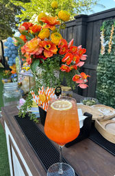 Houston Private Cocktail & Mixology Class image 5