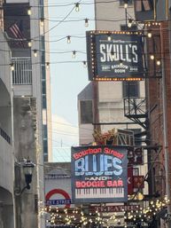 Private Luxury Nashville Tour. Your Trip, Your Way image 8