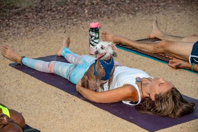 Lake Mead Yoga & Wellness Escape from Las Vegas image 3