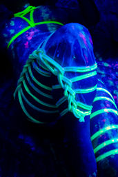 Elite Wax Play Boudoir Session image 7