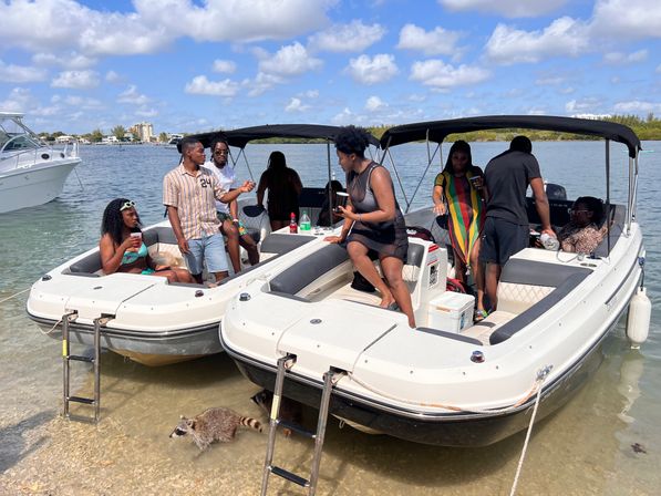 People socializing on two white runabout boats beached in a shallow coastal bay under a blue sky, drinks on board, and a curious raccoon exploring the sandy shore near the boat ladders.