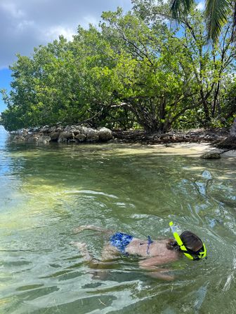 Young snorkeler with neon yellow snorkel exploring clear shallow water along a tropical mangrove shoreline with exposed roots and rocky outcrop
