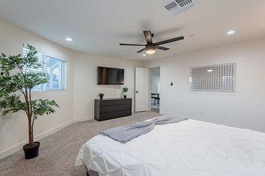 Bright modern bedroom interior with white walls and carpeted floor, king bed with white comforter and gray throw, black ceiling fan, wall-mounted TV above a black dresser, and a potted ficus by a sunlit window — minimalist, airy decor.
