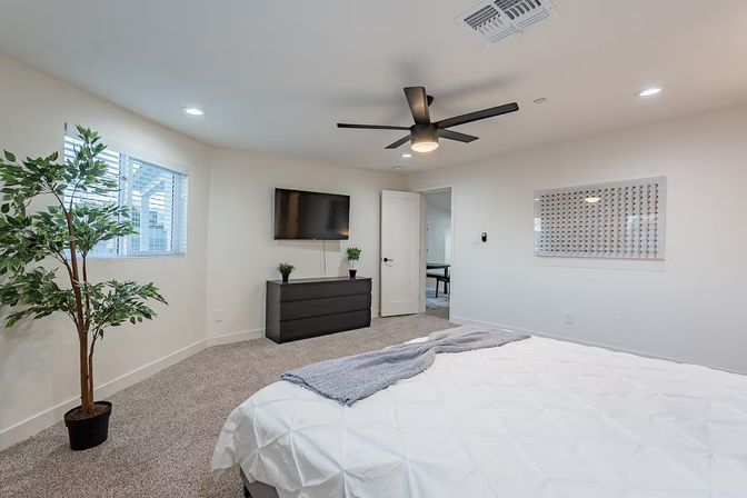 Bright modern bedroom interior with white walls and carpeted floor, king bed with white comforter and gray throw, black ceiling fan, wall-mounted TV above a black dresser, and a potted ficus by a sunlit window — minimalist, airy decor.