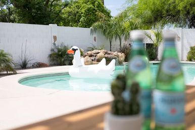 Sunny backyard pool with a large inflatable swan float, palm plants and rock water feature, blurred bottles and a small cactus on a foreground table.
