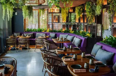 Cozy modern restaurant interior with purple banquette seating, wooden dining tables set for service, rattan chairs, abundant hanging greenery and warm ambient lighting