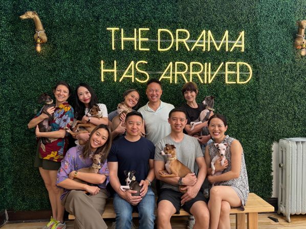 Private Party Experience at CuddlePups image 3