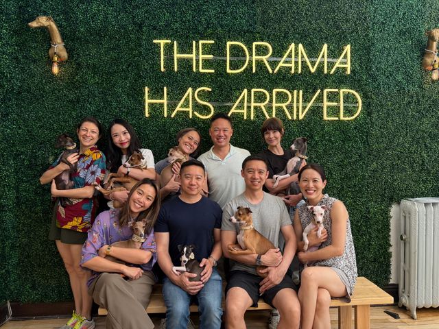 Chicago Private Dog Cuddle Party for Groups image 3