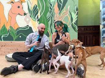 Private Party Experience at CuddlePups image 2