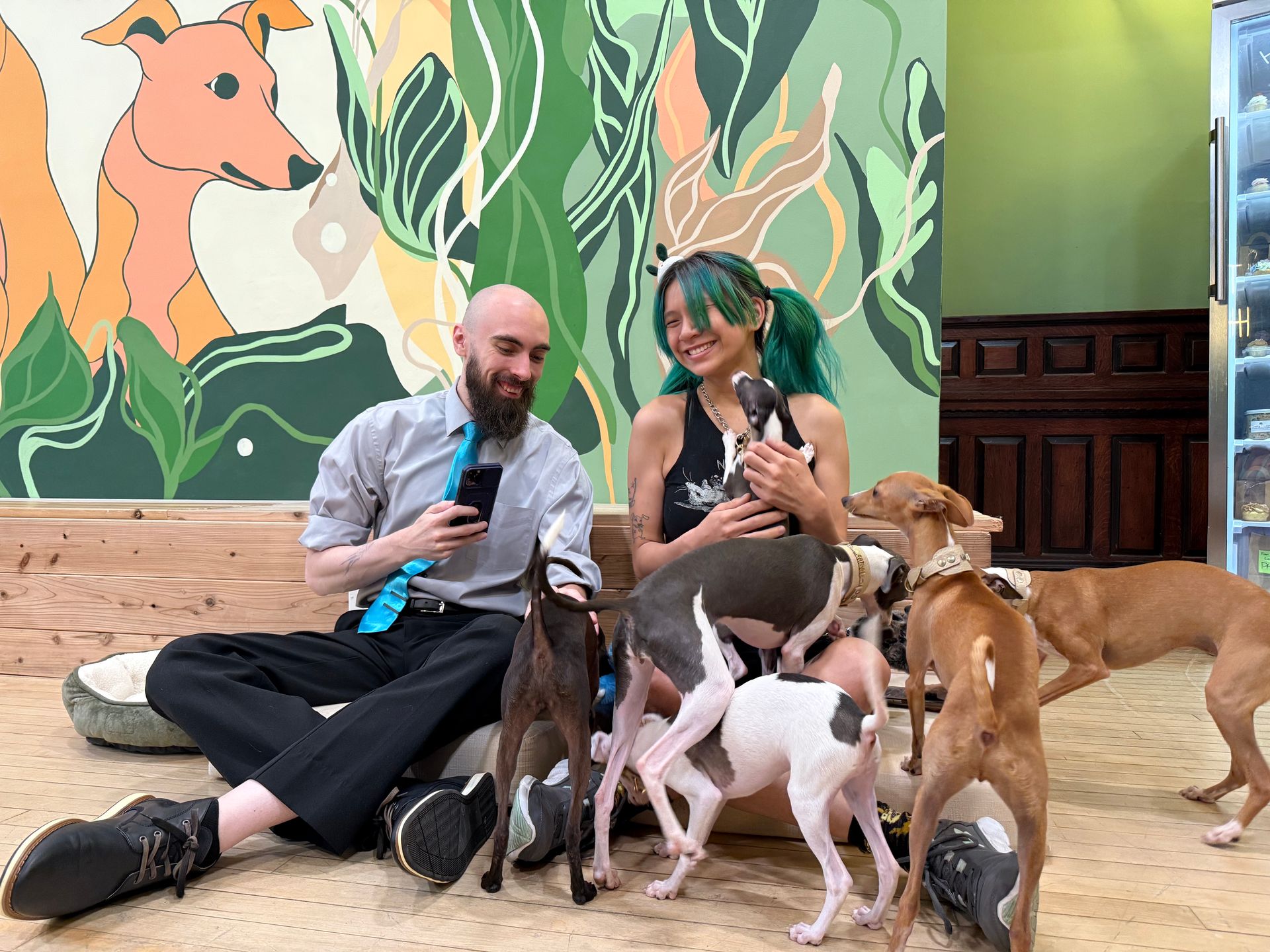 Two people sitting on a wooden floor in a colorful indoor dog cafe, smiling as several small, slender dogs play and sniff around; one person holds a black-and-white pup in front of a large plant-and-dog mural and wooden bench.