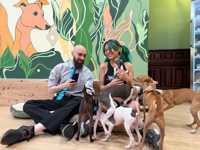 Two people sitting on a wooden floor in a colorful indoor dog cafe, smiling as several small, slender dogs play and sniff around; one person holds a black-and-white pup in front of a large plant-and-dog mural and wooden bench.