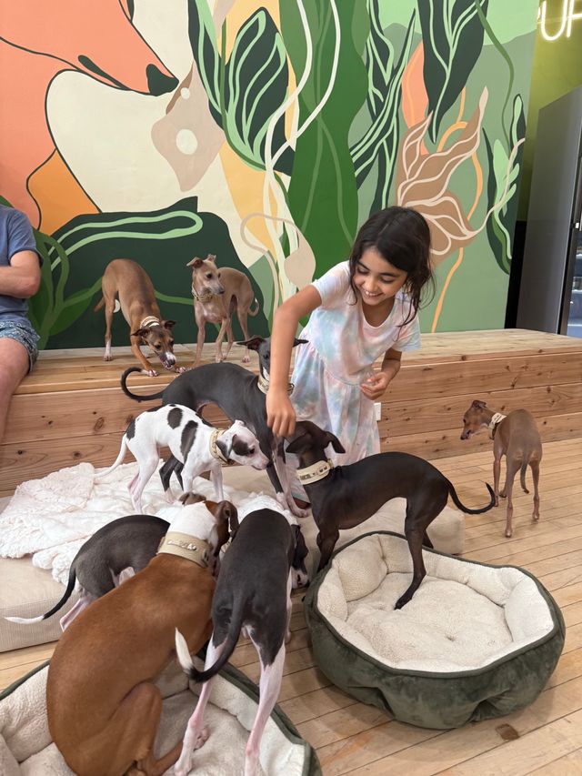 Chicago Private Dog Cuddle Party for Groups image 4