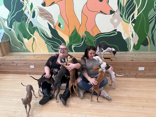 Private Party Experience at CuddlePups image 9