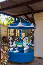 Small blue-and-white kiddie carousel with painted horses under a corrugated metal shelter in a shaded backyard or garden