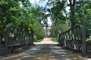 Day-Pass to Belle Meade Historic Site & Winery with complimentary Wine Tasting image 11