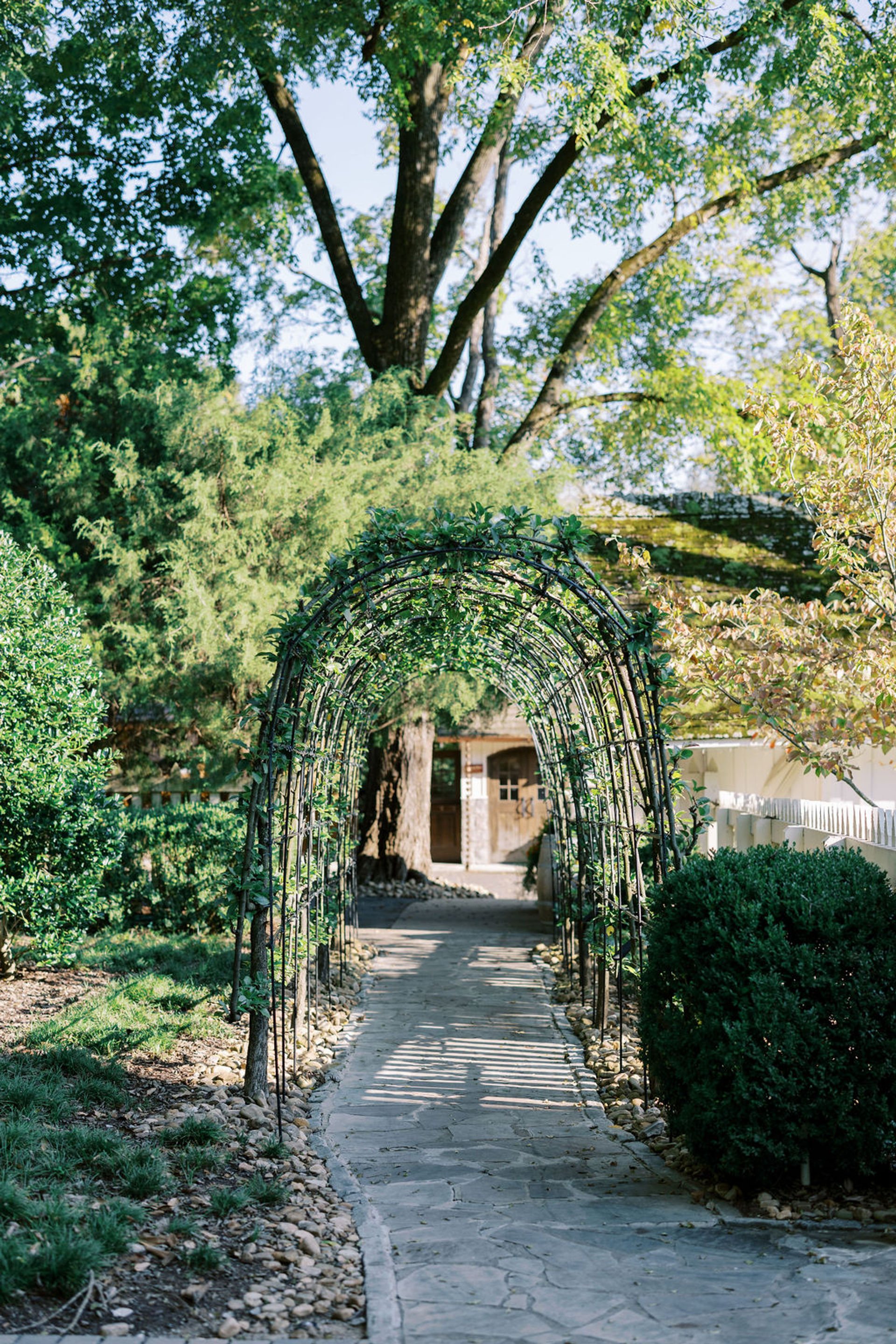Day-Pass to Belle Meade Historic Site & Winery with complimentary Wine Tasting image 2