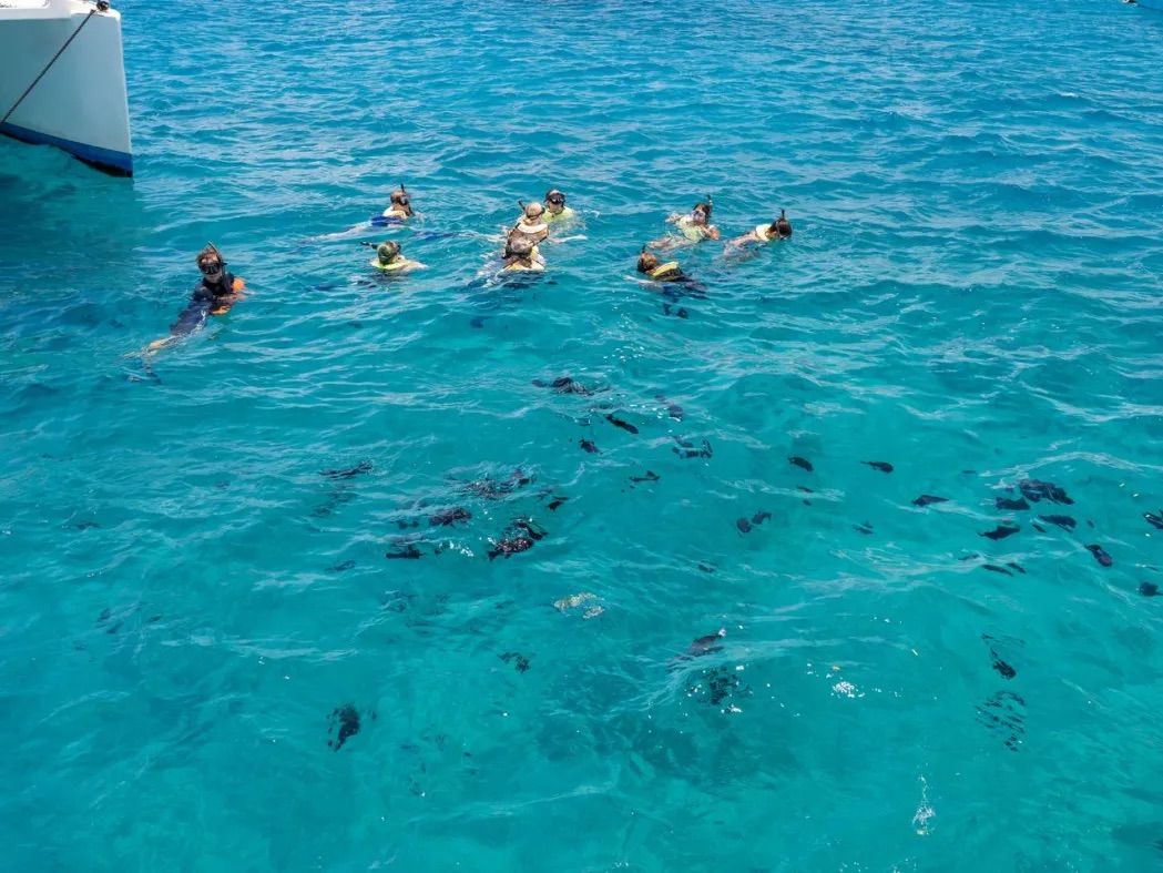 Group of snorkelers floating near a boat in clear turquoise tropical water, peering down at a school of dark fish below.