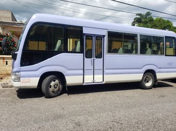 Light lavender-and-white passenger shuttle bus parked on a residential street with palm trees, houses, and a cloudy sky