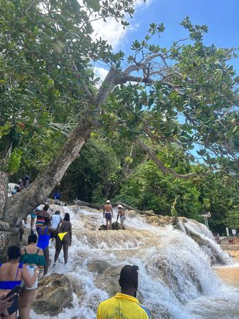 Visitors climbing a sunlit tropical waterfall cascading over smooth rock terraces, framed by a leaning leafy tree, lush jungle foliage and bright blue sky.