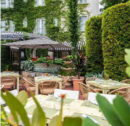Outdoor courtyard patio dining with wooden tables, wicker chairs and black-and-white striped umbrellas, surrounded by lush potted plants, a tiered fountain and an ivy-covered building backdrop.