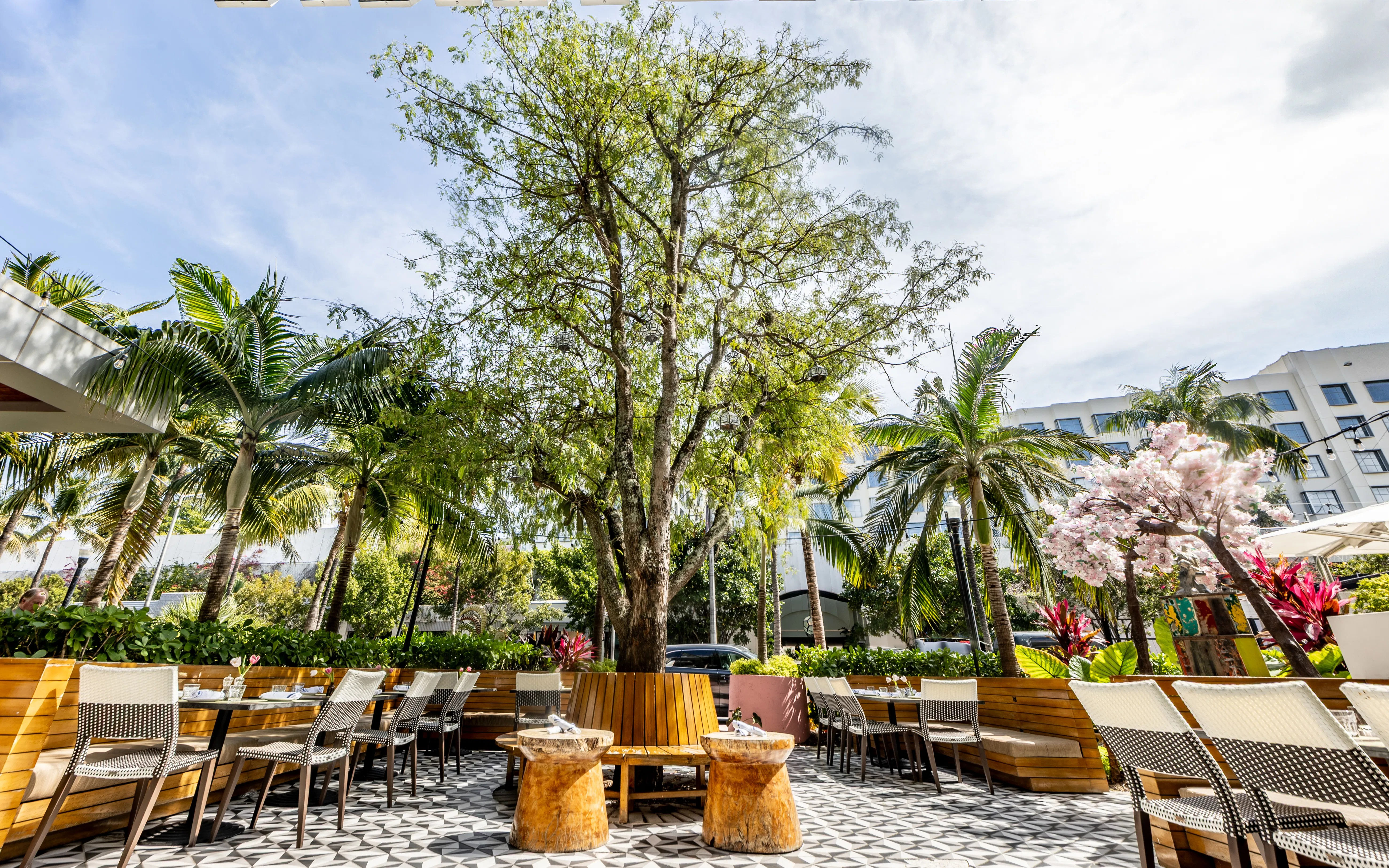 Al fresco tropical dining patio with wooden benches and tables arranged around a large shady tree, patterned tile floor, palm trees and flowering shrubs in front of a modern hotel facade.