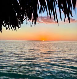 Tropical ocean sunset framed by silhouetted palm fronds, orange-pink sky and sun dipping at the coastal horizon over calm rippling water.