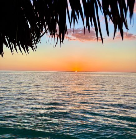 Tropical ocean sunset framed by silhouetted palm fronds, orange-pink sky and sun dipping at the coastal horizon over calm rippling water.