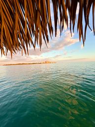 Thatched palapa leaves framing calm turquoise ocean and distant beachfront buildings under a pastel sunset sky — tropical coastal vacation scene.