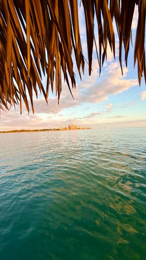 Thatched palapa leaves framing calm turquoise ocean and distant beachfront buildings under a pastel sunset sky — tropical coastal vacation scene.