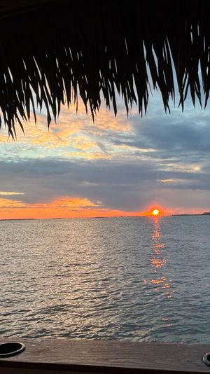 Tropical coastal sunset over a calm bay, sun dipping at the horizon with a golden reflection on the water, silhouetted palm-thatched palapa roof overhead and a wooden railing with cup holders in the foreground, distant bridge and shoreline visible.